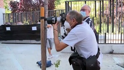 Lolita Flores opina del "Hormigas Blancas" dedicado a su madre