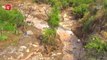 Deadly mudslides ravage Chile