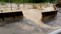 Army engineers to repair broken Sungai Jarak bund