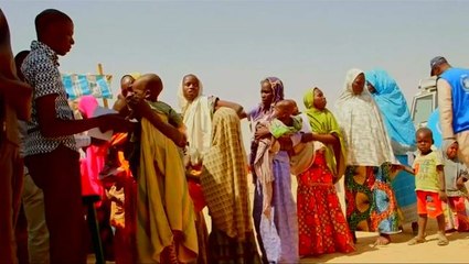 Famine looms in Nigeria as Boko Haram nears defeat