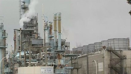 California and other US states to ignore Trump climate exit