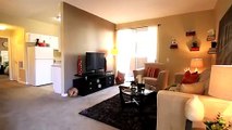 Summer Winds Apartments Las Vegas | 1 Bedroom Sea Breeze Model Tour