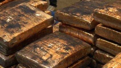 Cops bust syndicate, seize 206kg of ganja