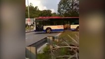 Viral video: RapidKL bus driver suspended