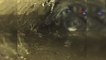 Atık su borusuna sıkışan yavru köpek böyle kurtarıldı