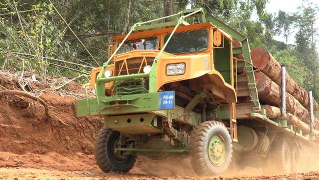 Perak Orang Asli threaten logging blockade