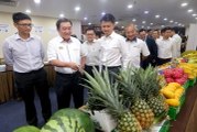 Ong: Agriculture sector’s potential must be fully realised