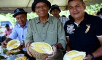 Govt to study aphrodisiac claims of durians