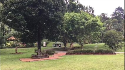 Penang to cooperate with Singapore to manage botanic gardens