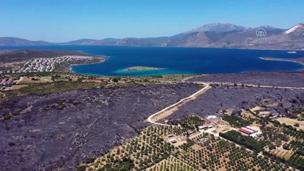 Çeşme'de yanan ormanlık alan havadan görüntülendi - İZMİR