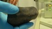 4.5 billion-year-old meteorite found in back garden