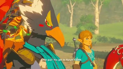 Breath of the Wild How Ganon SEALED His Own FATE!