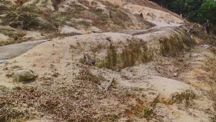 Gerakan claims that DAP has failed to monitor extensive land clearing in Penang