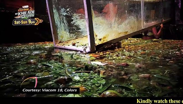 Khatron Ke Khiladi Made In India: Rohit Shetty Explain The Pond Task