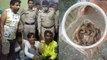 कांगड़ा के गग्गल पुलिस स्टेशन में निकले 21 किंग कोबरा सांप, पुलिसकर्मियों में मचा हड़कंप