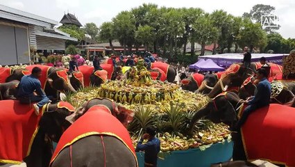 [NTV 150318] Thailand honours elephants on national memorial day