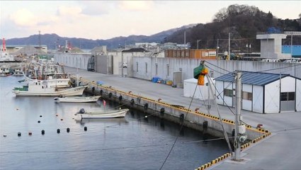 Seven years after tsunami, Japanese live alongside high sea walls