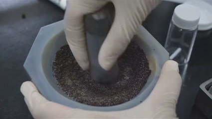 Coffee waste could help power future batteries