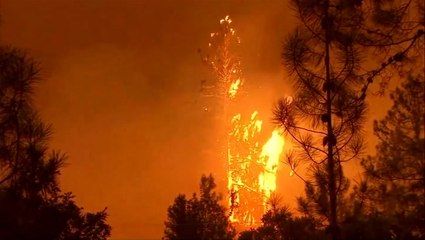 Tải video: California wildfire doubles in size as thousands flee