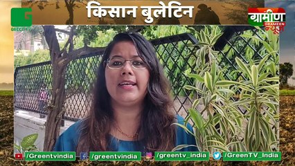 Kisano को डाकघरों में मिलेगा पीएम किसान योजना का पैसा, India Post Payments Bank - IPPB के जरिए आसान होंगी किसानों की मुश्किलें  ( Pradhan Mantri Kisan Samman Nidhi Yojana )2020_02