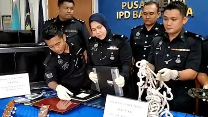 Cops nab thieving brothers