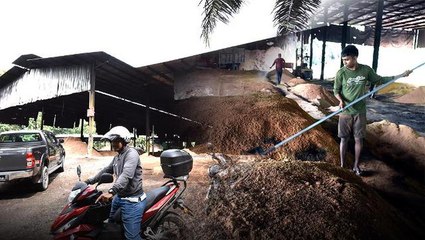 Illegal factory raided by authorities