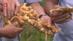 Government plans to improve local ginger production in Bukit Tinggi