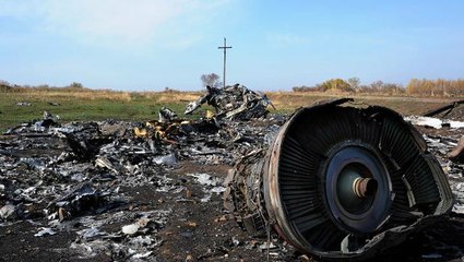 Liow: MH17 perpetrators could be charged by end of the year