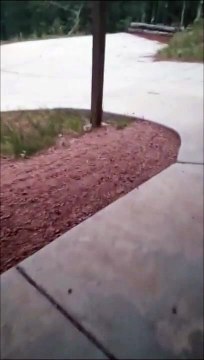 Regardez ce qu'il croise en sortant de chez lui... Flippant