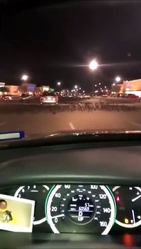 Il tente d'écraser des oiseaux en voiture mais va avoir un gros retour de karma