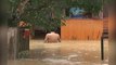 Families evacuated in Terengganu flood