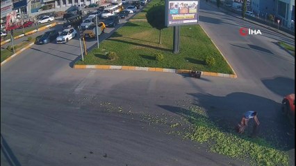 Yola dökülen fasulyelerin ezilmemesi için trafiği durdurdular