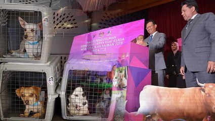 New law brings heavier punishments for animal abusers