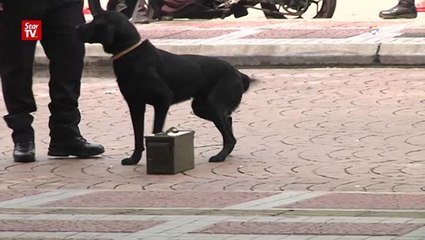 Security drills beefs-up in time for SEA Games