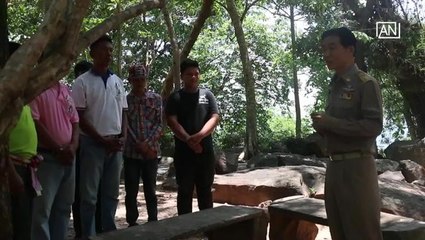 [NTV 110518] ASEAN Scoop Trees attached with QR codes for easy and extensive reference