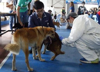 Fifth rabies victim in Sarawak dies