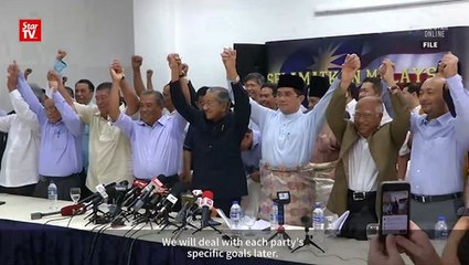 Pribumi to meet with PAS in February to discuss cooperation