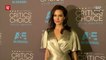 Angelina Jolie puts movie-making on hold