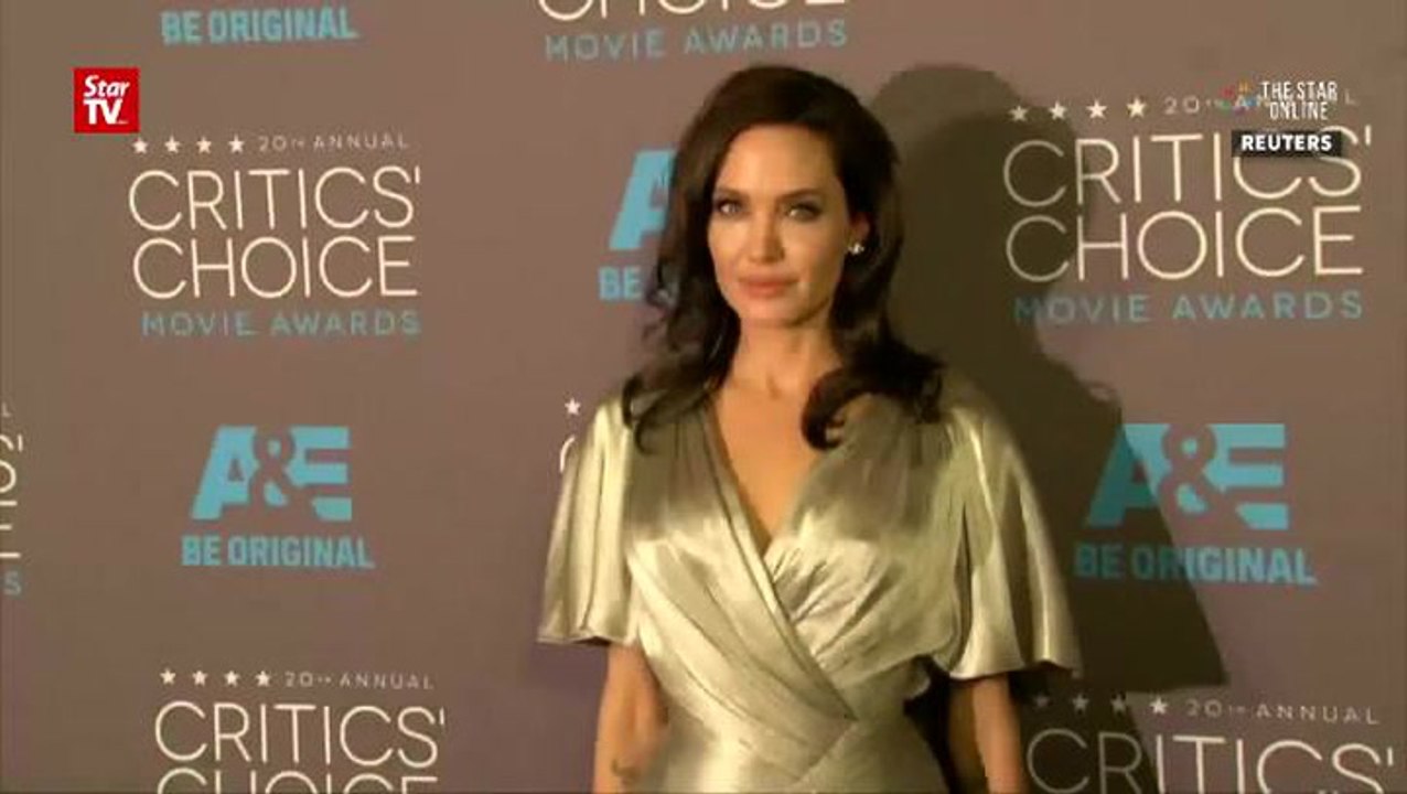 Angelina Jolie puts movie-making on hold