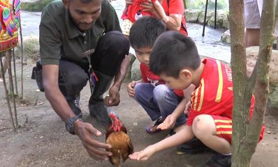 Variety of chicken breeds debut at Farm In The City for CNY