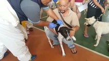Thousands showed up for mass rabies vaccination