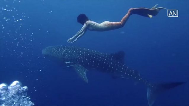 [NTV 250518] ASEAN Scoop Thai woman clad in mermaid fin swims with whale shark