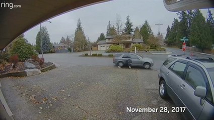 Nanny tackles female thief in US