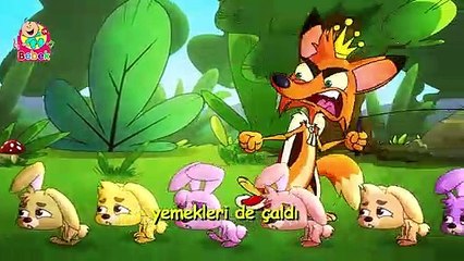 Kötü Tilki - Türkçe