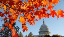 Democrats seize House control in US mid-term election