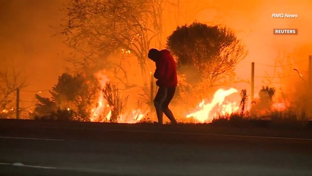 Man rescues rabbit from California wildfires