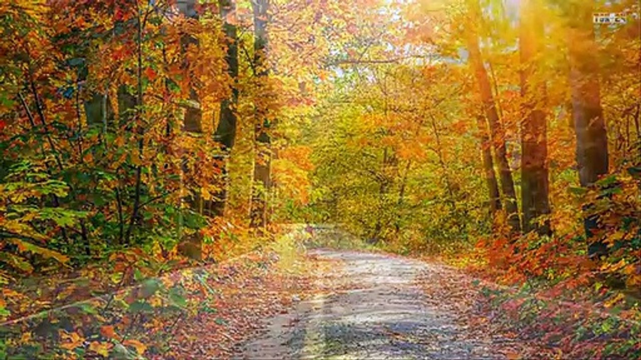 God's Colorful Autumn - The Beauty Of Autumn Roads
