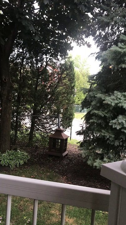 Omission d'arrêt obligatoire près du parc Jardin de Médicis - Août 2020