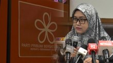 RoS temporarily dissolves PPBM (full version)
