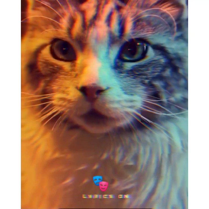 Deewangi whatsApp status
